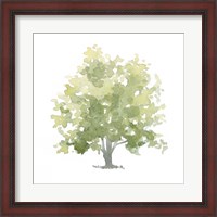 Framed Lonely Oak II