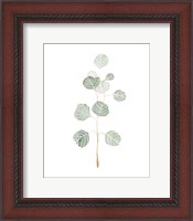 Framed Soft Eucalyptus Branch II