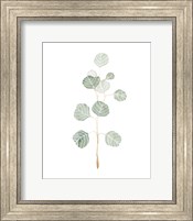 Framed Soft Eucalyptus Branch II