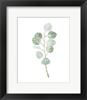 Framed Soft Eucalyptus Branch III
