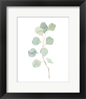 Framed Soft Eucalyptus Branch IV