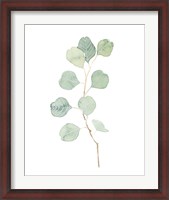 Framed Soft Eucalyptus Branch IV