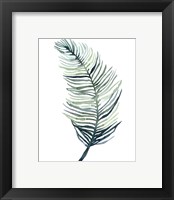 Framed 'Watercolor Palm Leaves II' border=