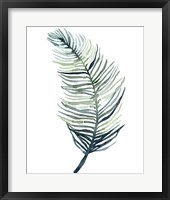 Framed 'Watercolor Palm Leaves II' border=