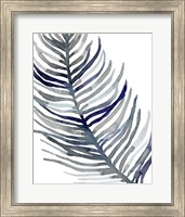 Framed Blue Feathered Palm I
