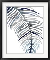 Framed Blue Feathered Palm II