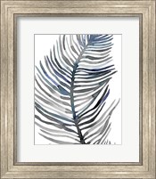 Framed 'Blue Feathered Palm III' border=