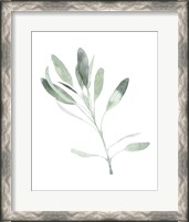 Framed Simple Sage II