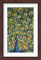 Framed Lavish Peacock I