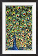 Framed Lavish Peacock I