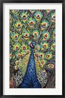 Framed Lavish Peacock II