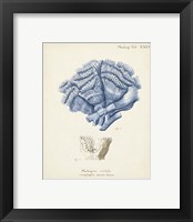 Framed 'Antique Coral in Navy II' border=