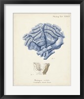 Antique Coral in Navy II Framed Print