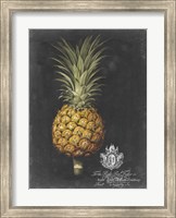 Framed Royal Brookshaw Pineapple II