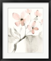 Framed Dogwood Dream I