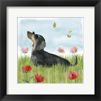 Framed Park Pup I