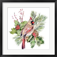 Framed Cardinal Holly Christmas II