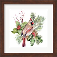 Framed Cardinal Holly Christmas II
