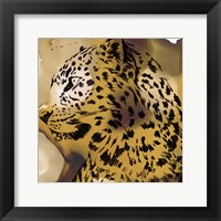 Framed Leopard Portrait I