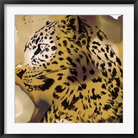 Framed Leopard Portrait I