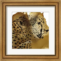 Framed Leopard Portrait II
