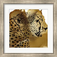 Framed Leopard Portrait II