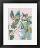 Framed Quirky Plant I