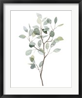Framed Seaglass Eucalyptus I