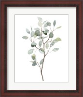 Framed 'Seaglass Eucalyptus I' border=