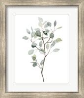 Framed Seaglass Eucalyptus I