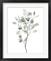 Framed 'Seaglass Eucalyptus I' border=