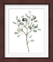 Framed 'Seaglass Eucalyptus II' border=