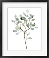 Framed Seaglass Eucalyptus II
