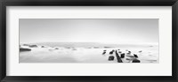 Framed Black & White Water Panel III