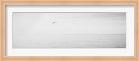 Framed Black & White Water Panel XVI