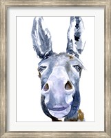 Framed Sweet Donkey I