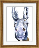 Framed Sweet Donkey I