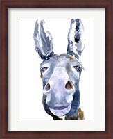 Framed Sweet Donkey I