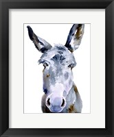 Framed Sweet Donkey II