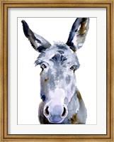 Framed Sweet Donkey II