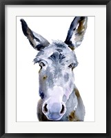 Framed Sweet Donkey II