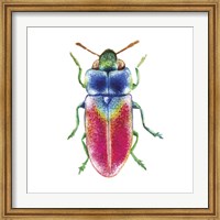 Framed Buggin Out III