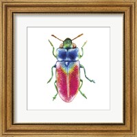 Framed Buggin Out III