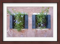 Framed Italian Window Flowers II