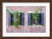 Framed Italian Window Flowers II