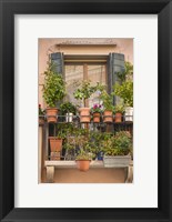 Framed Italian Window Flowers III