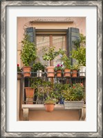 Framed Italian Window Flowers III