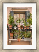 Framed Italian Window Flowers III