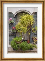 Framed Italian Window Flowers IV