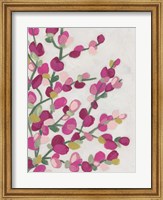 Framed Spring Pinks II